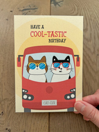#20 – Have a cool-tastic birthday