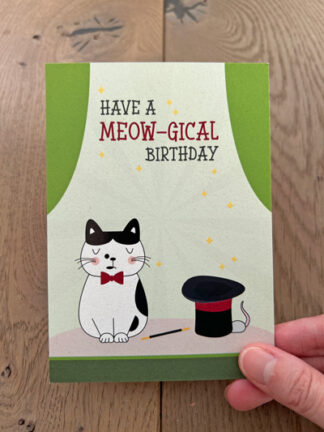 #16 – Have a meow-gical birthday