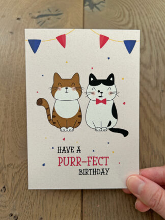 #25 – Have a purr-fect birthday