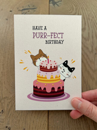 #17 – Have a purr-fect birthday