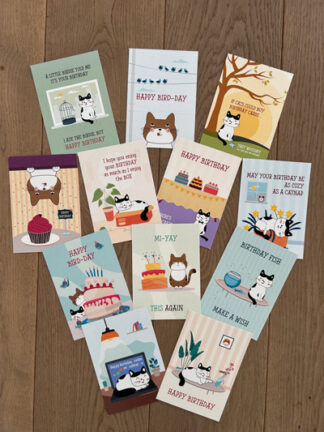 Mix sarcastische verjaardagskaarten (set van 12)