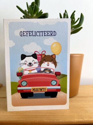 #54 - Gefeliciteerd